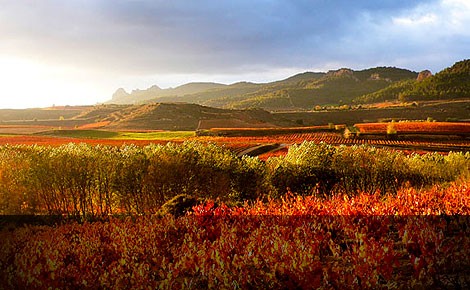 rioja