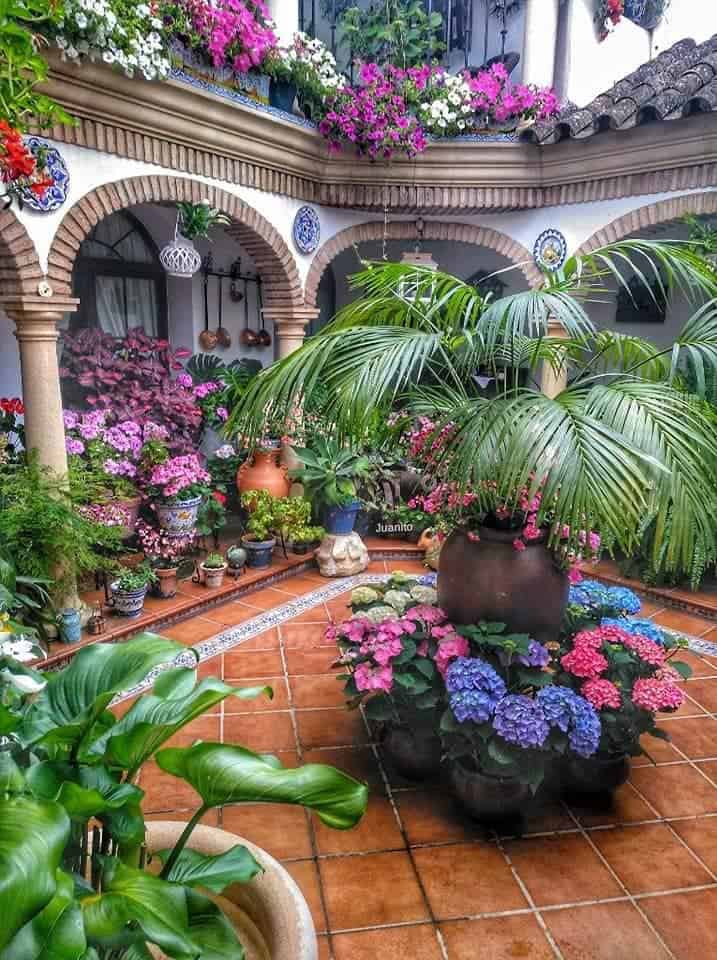 patios de cordoba